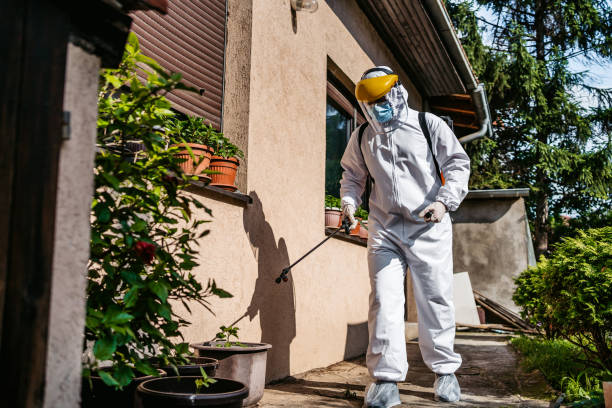  East Port Orchard, WA Pest Control Pros
