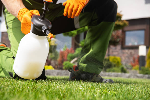 Pest Prevention Services in East Port Orchard, WA