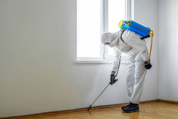 Best Exterminator Services  in East Port Orchard, WA